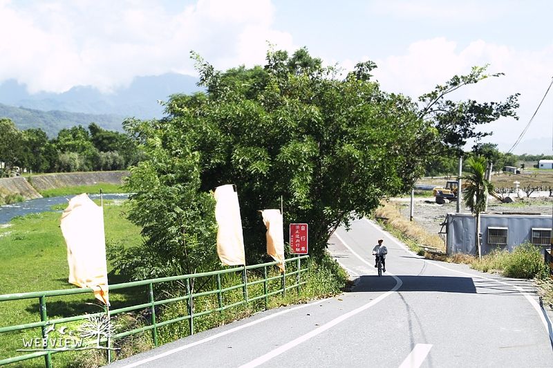 關山環鎮自行車道沿途的田野與樹蔭