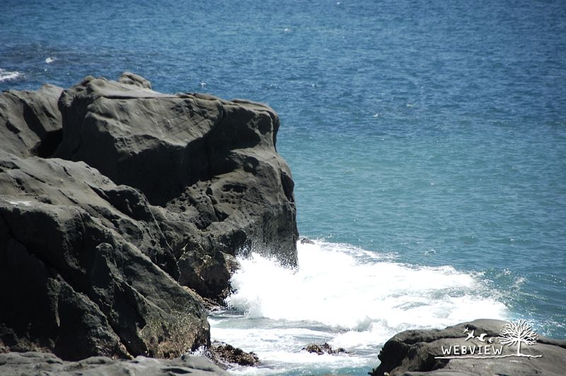 東海岸海浪拍打黑色礁岩