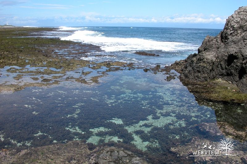 綠島礁岩間清澈的潮池
